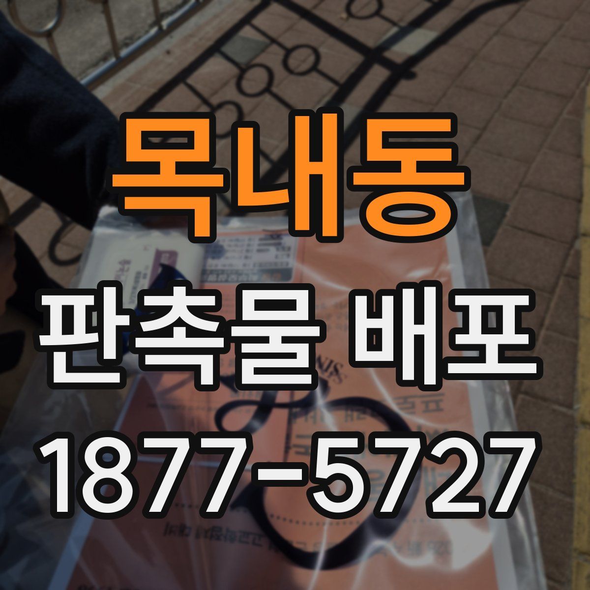 목내동 판촉물 배포