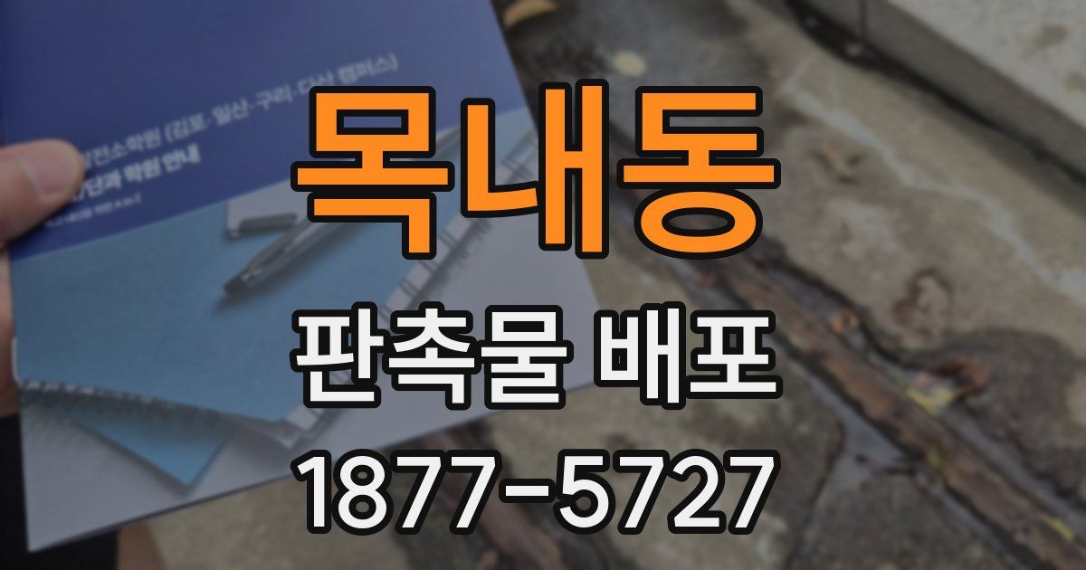 목내동 판촉물 배포