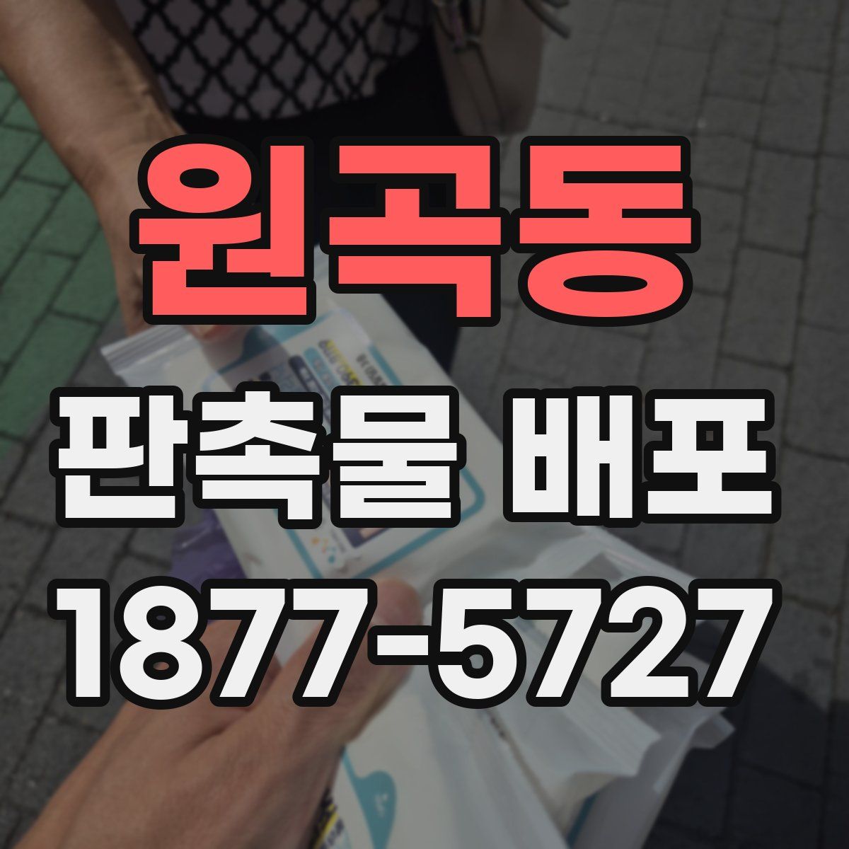 원곡동 판촉물 배포