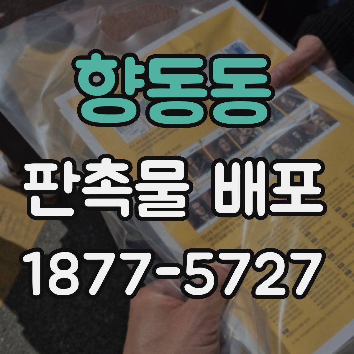 향동동 판촉물 배포