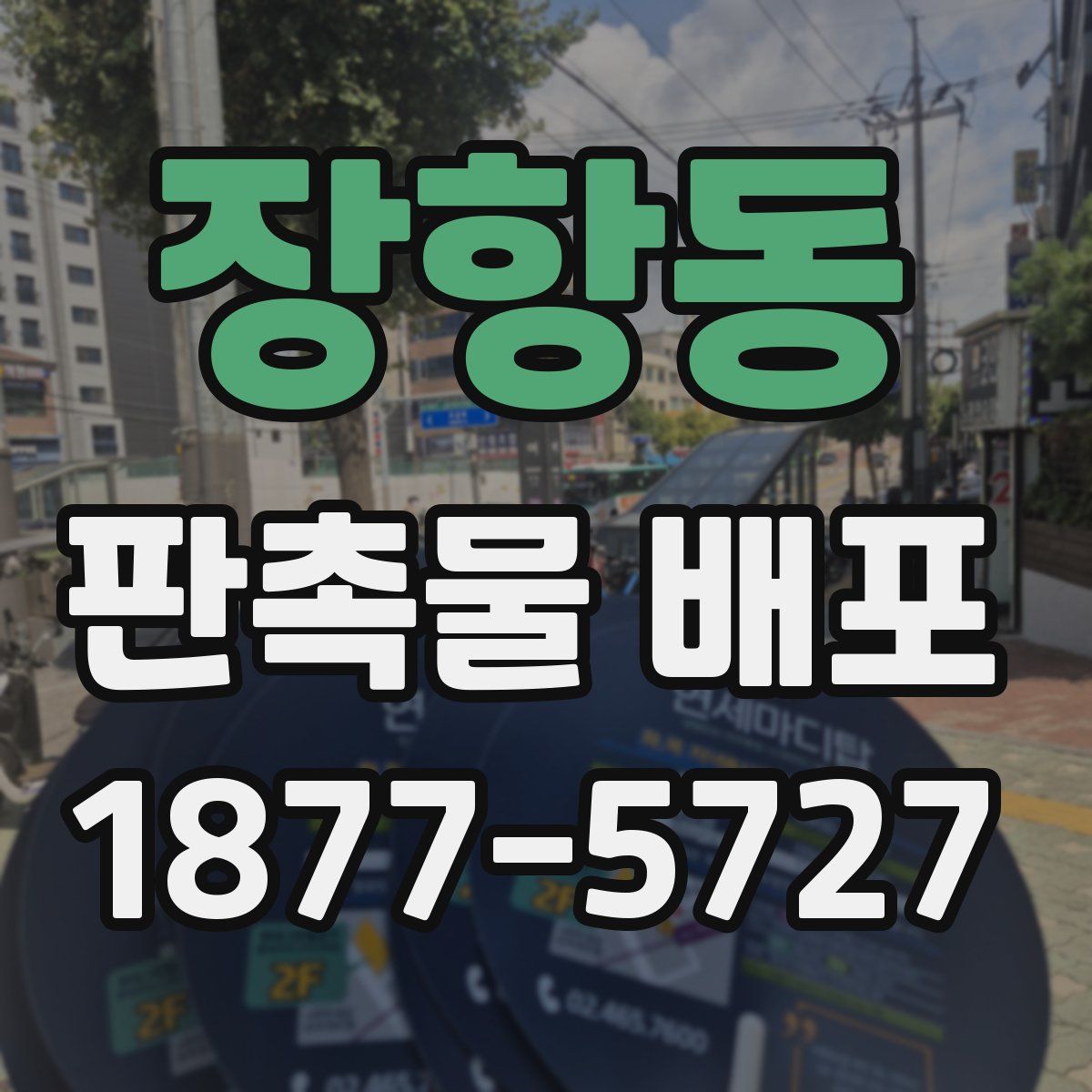 장항동 판촉물 배포