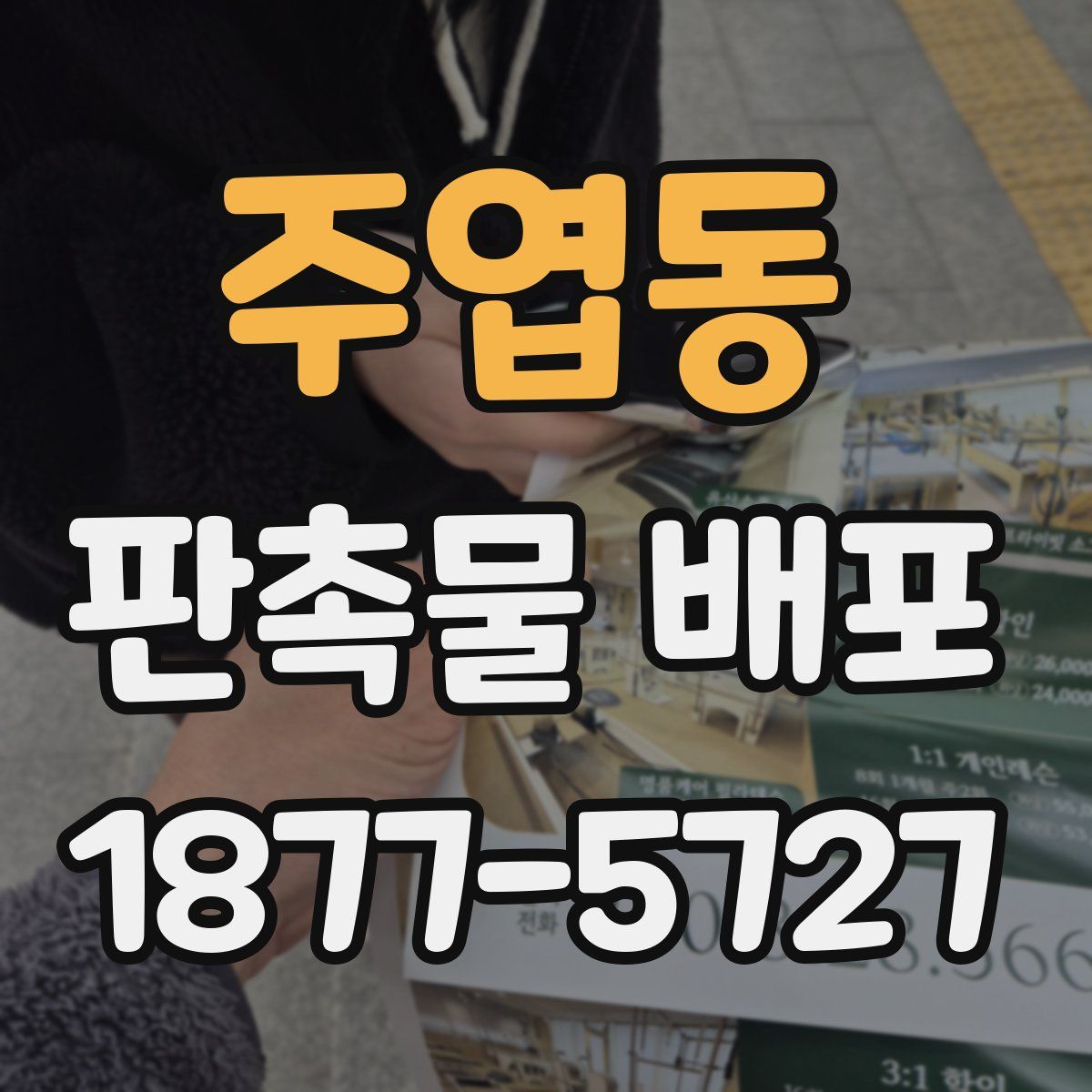 주엽동 판촉물 배포