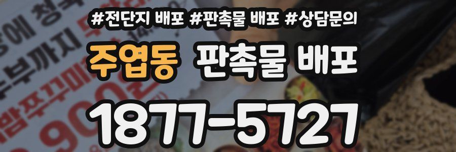 주엽동 판촉물 배포