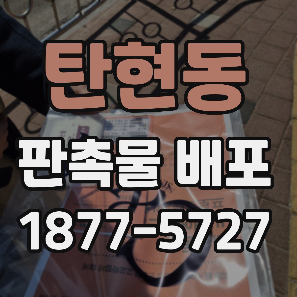 탄현동 판촉물 배포