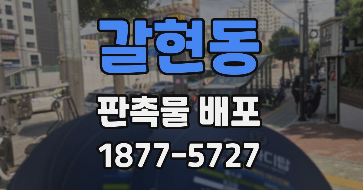 갈현동 판촉물 배포