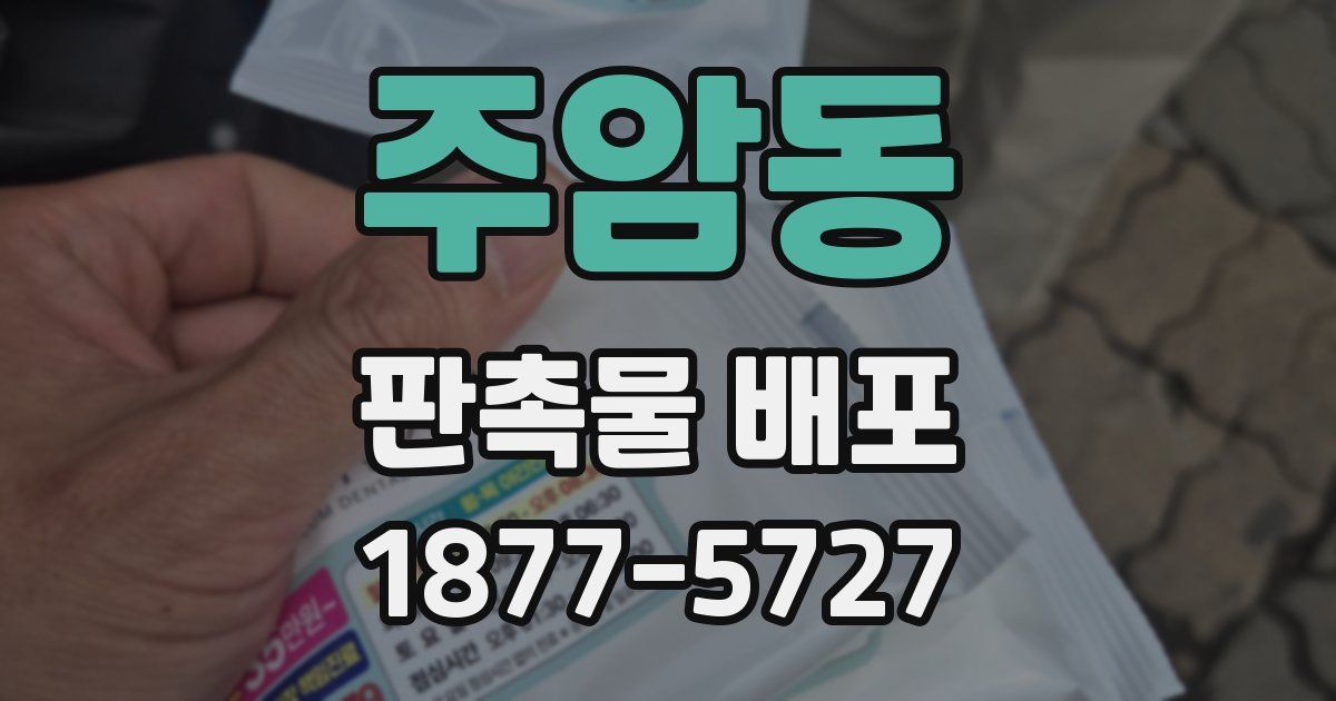 주암동 판촉물 배포