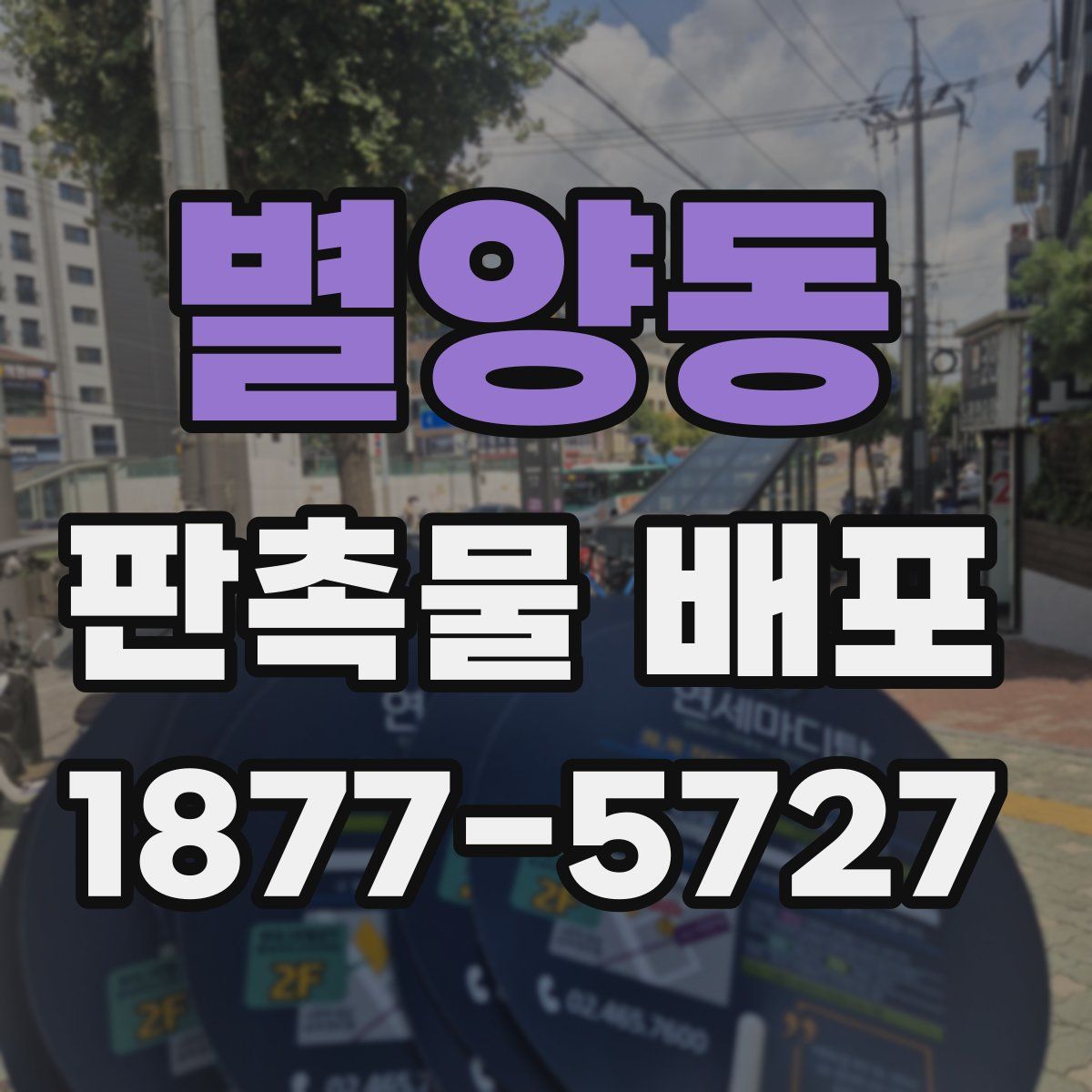 별양동 판촉물 배포