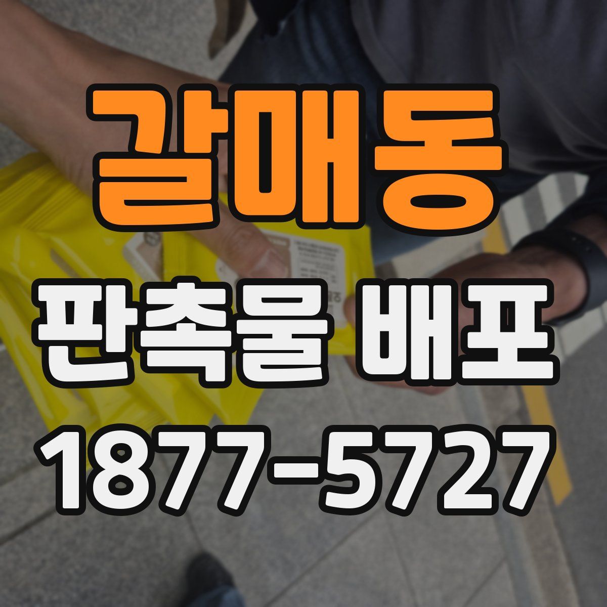 갈매동 판촉물 배포