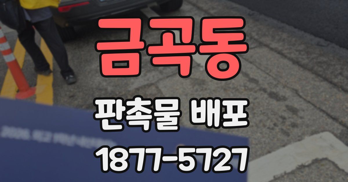 금곡동 판촉물 배포