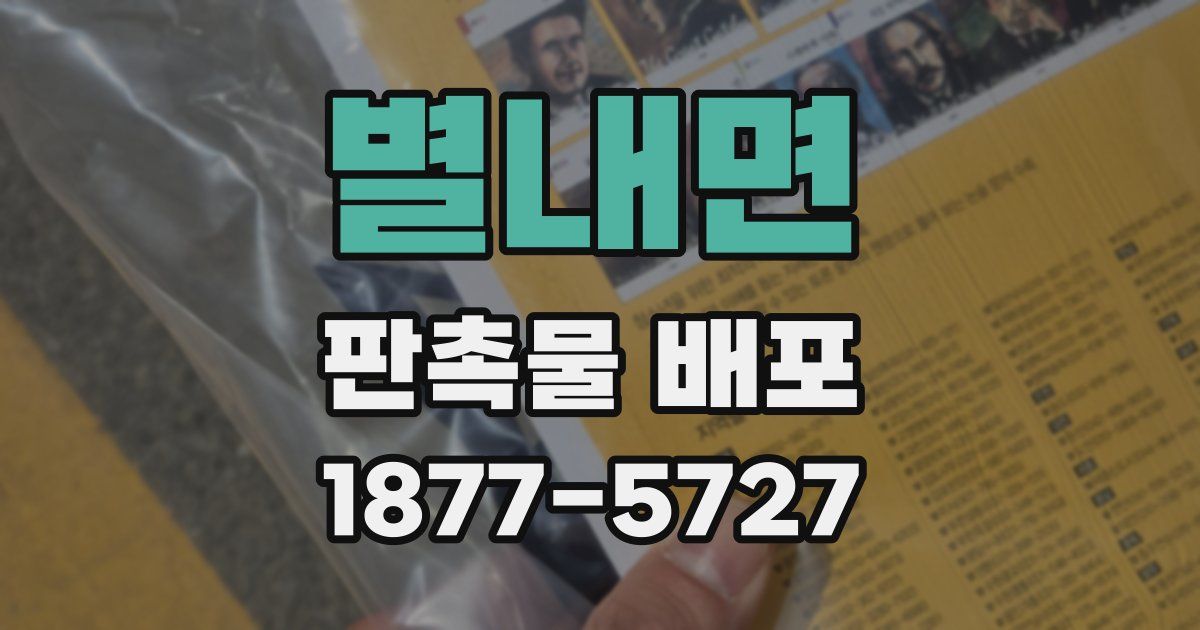 별내면 판촉물 배포