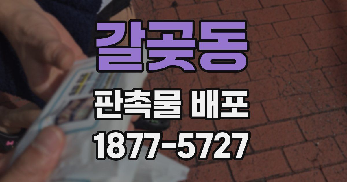 갈곶동 판촉물 배포