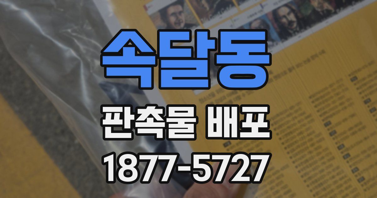 속달동 판촉물 배포