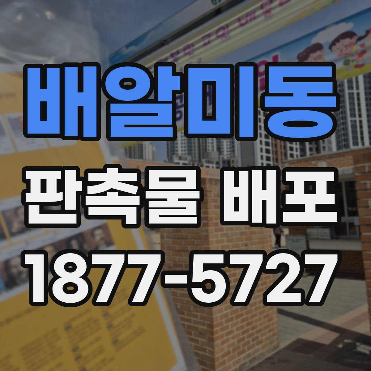배알미동 판촉물 배포