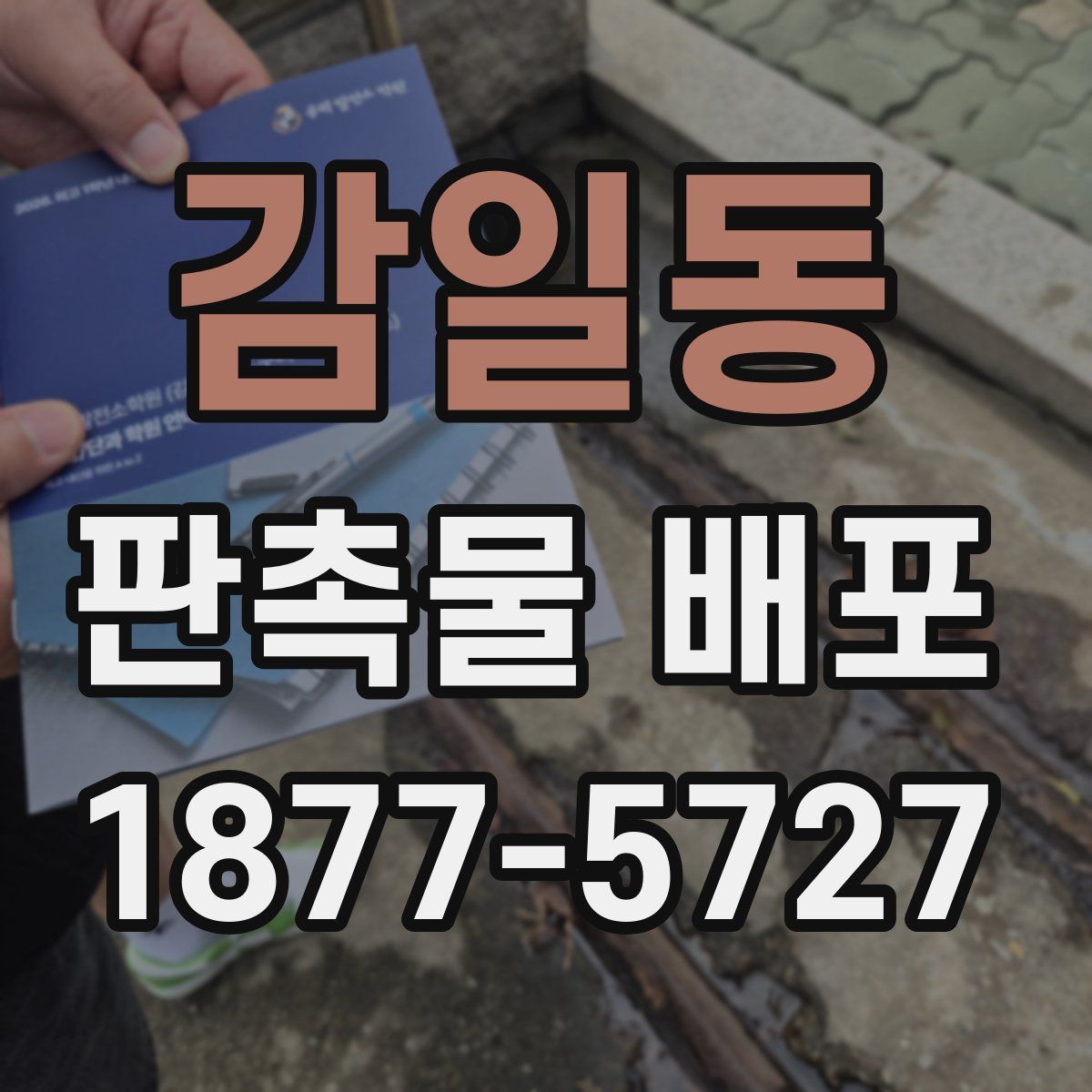 감일동 판촉물 배포