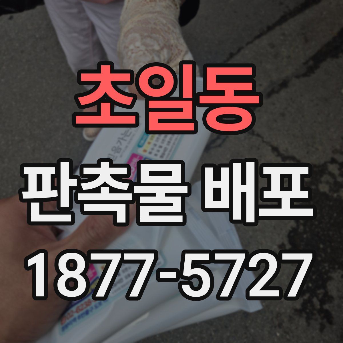 초일동 판촉물 배포