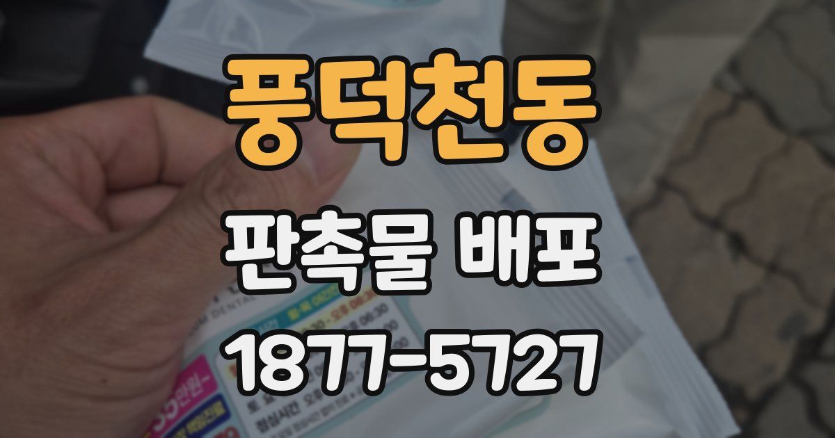 풍덕천동 판촉물 배포