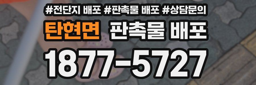 탄현면 판촉물 배포