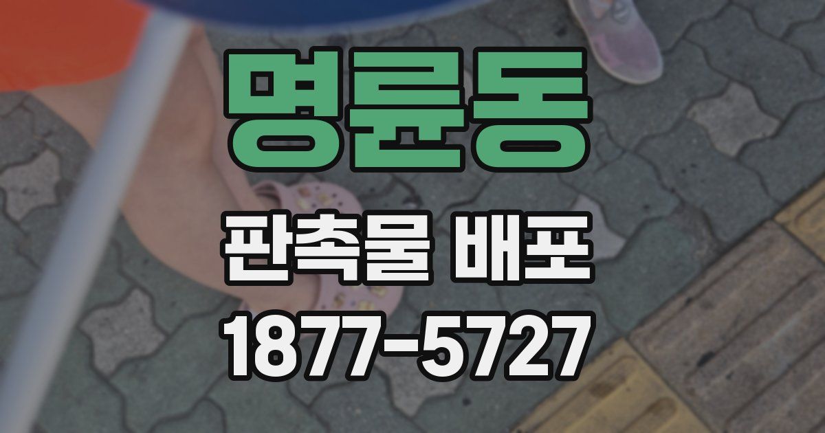 명륜동 판촉물 배포