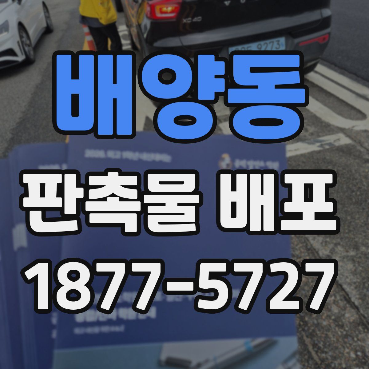 배양동 판촉물 배포