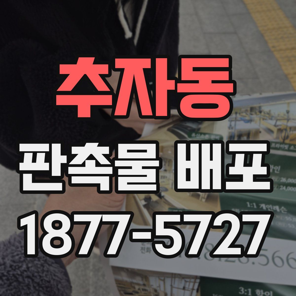 추자동 판촉물 배포
