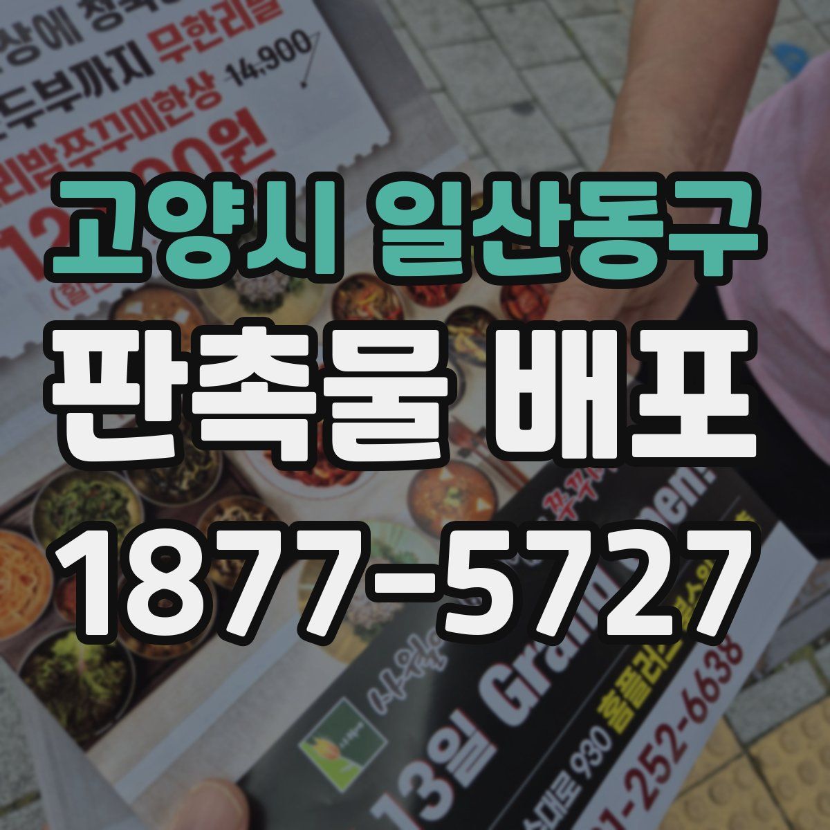고양시 일산동구 판촉물 배포