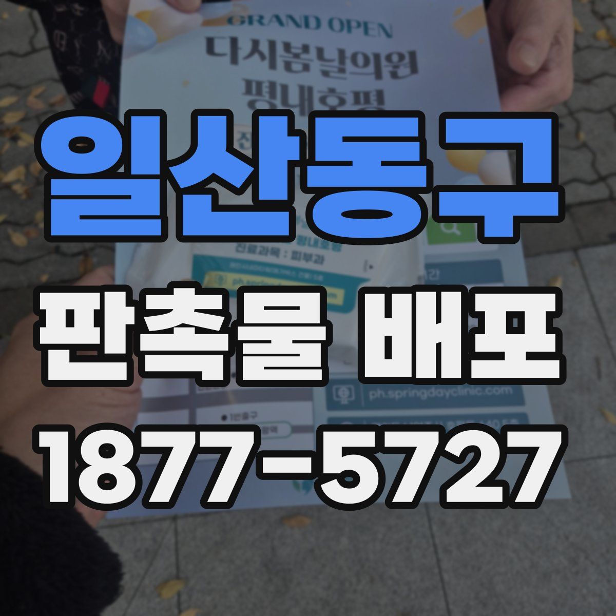 일산동구 판촉물 배포