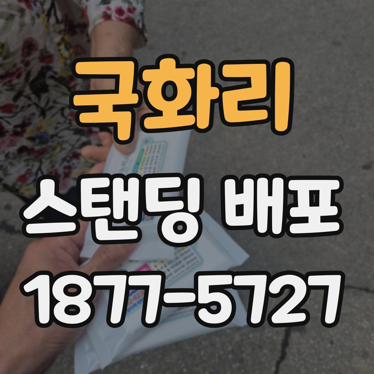 국화리 스탠딩 배포
