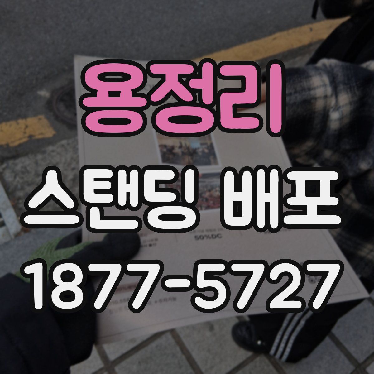 용정리 스탠딩 배포