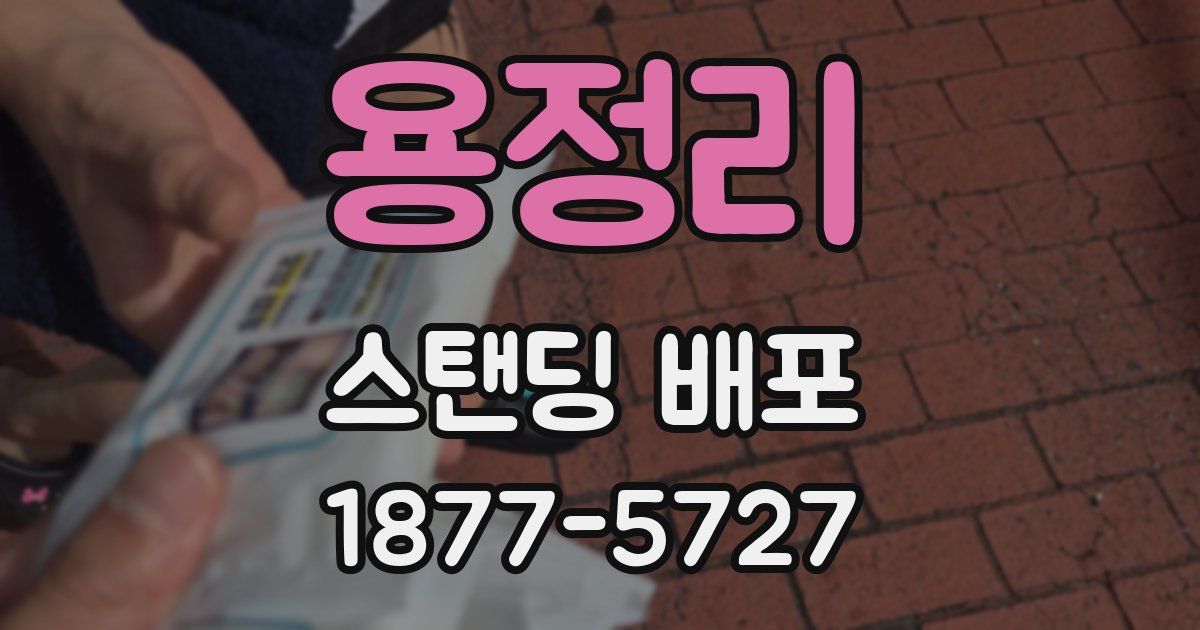 용정리 스탠딩 배포