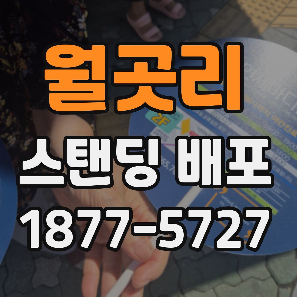 월곳리 스탠딩 배포