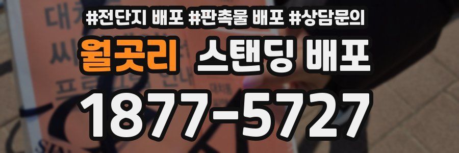 월곳리 스탠딩 배포