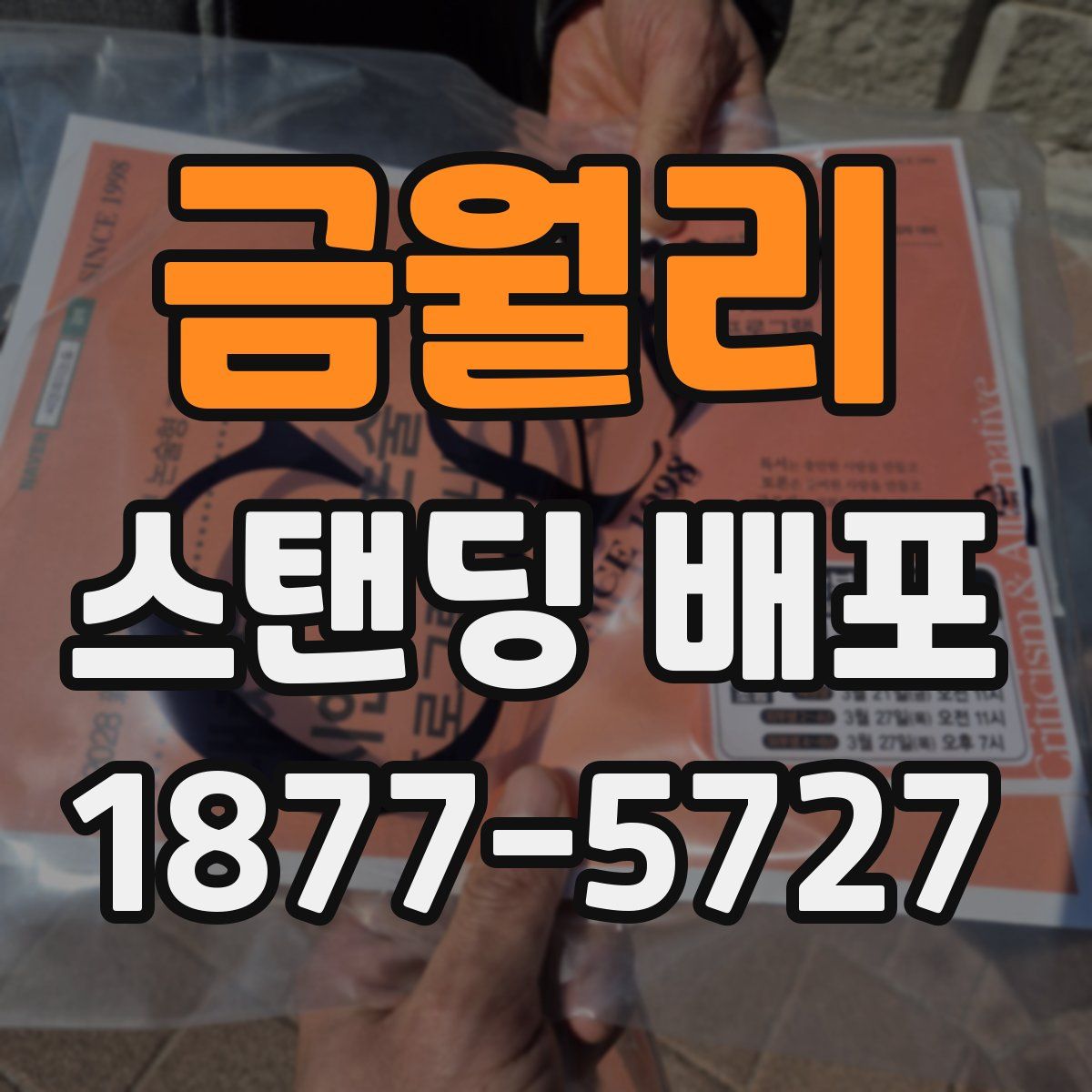 금월리 스탠딩 배포