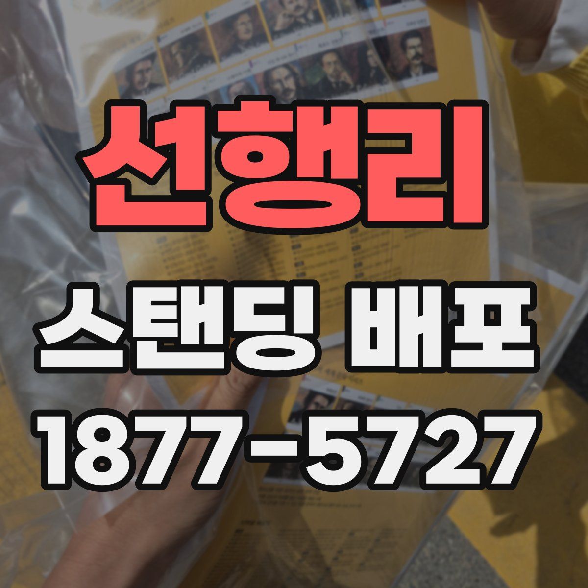 선행리 스탠딩 배포