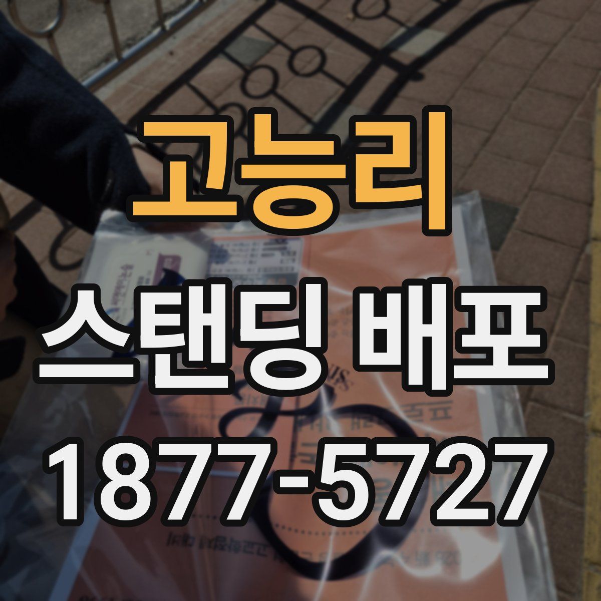 고능리 스탠딩 배포