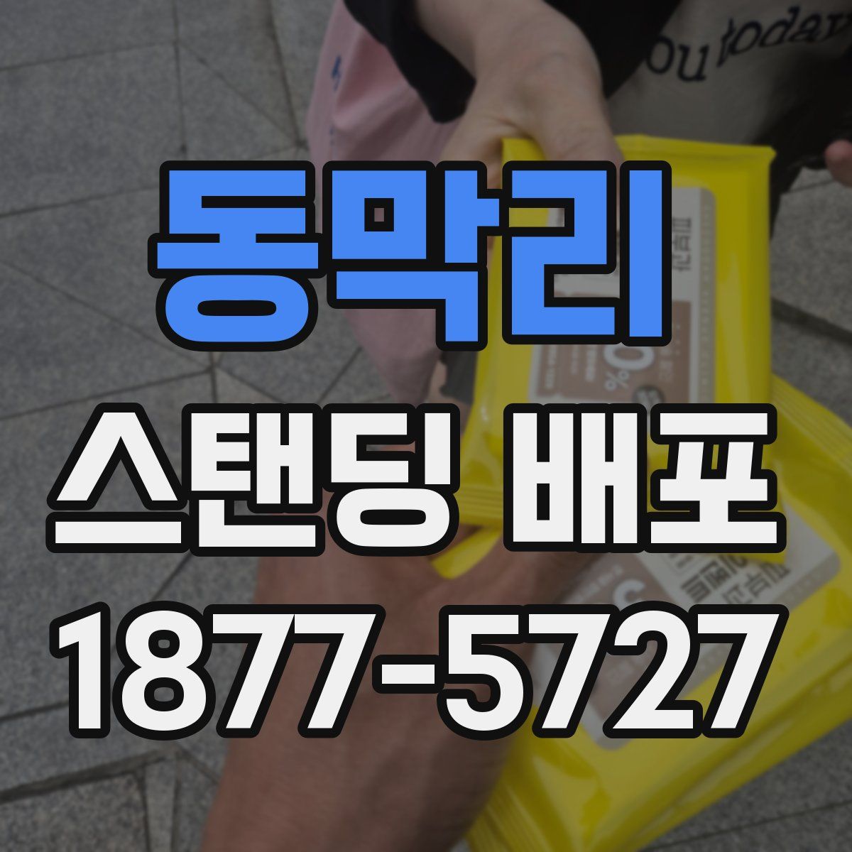 동막리 스탠딩 배포