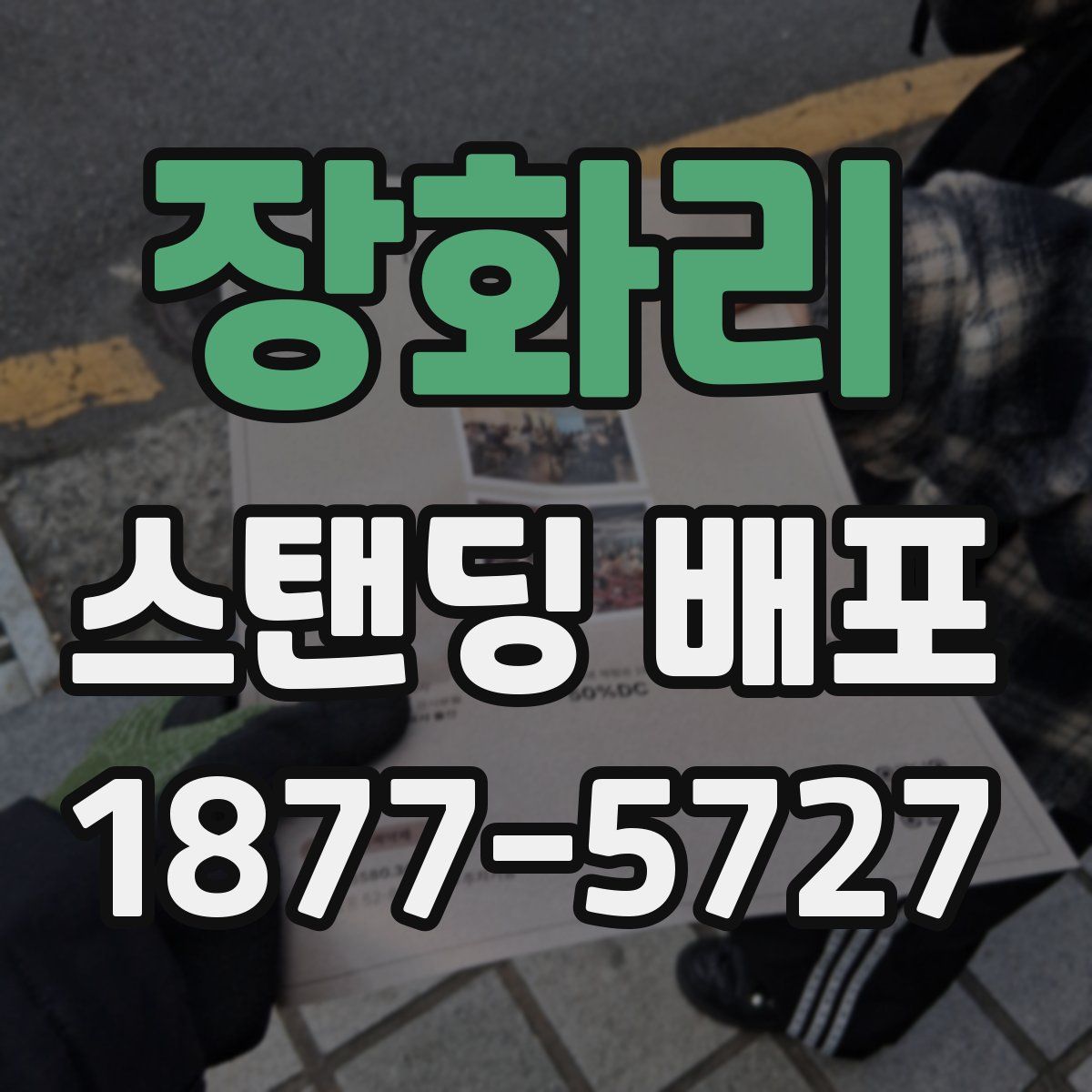 장화리 스탠딩 배포