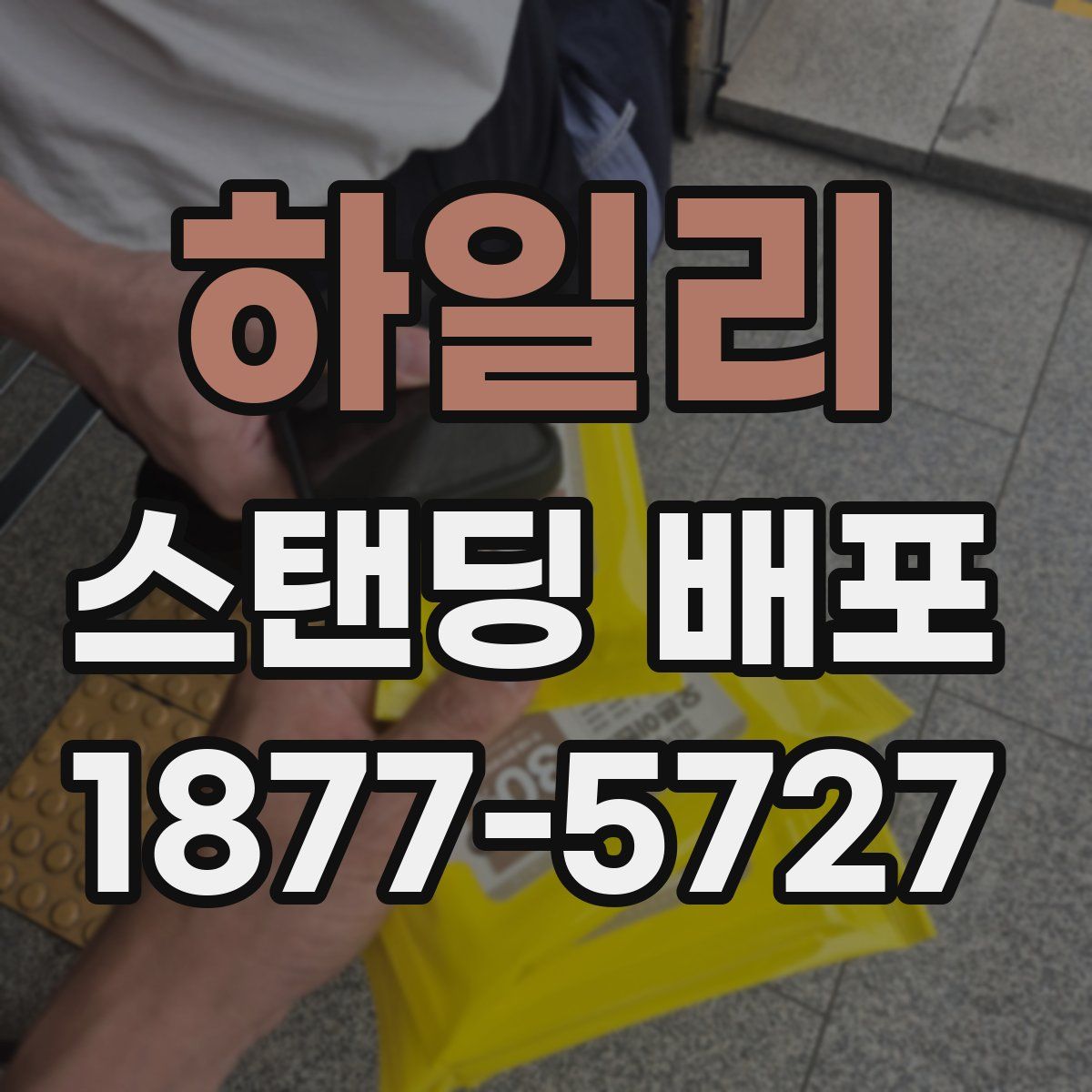 하일리 스탠딩 배포