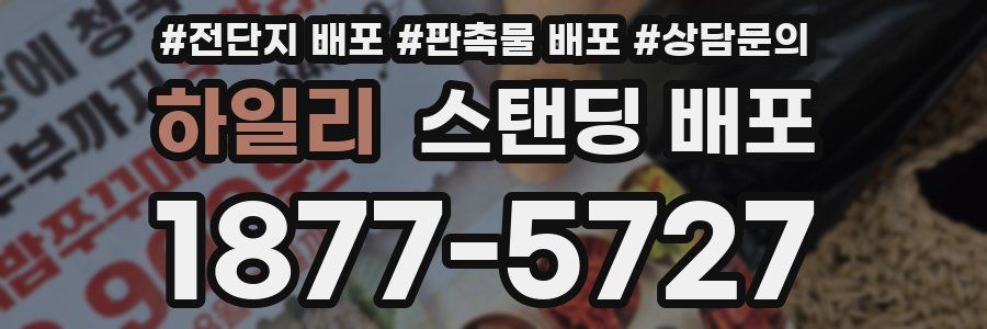 하일리 스탠딩 배포