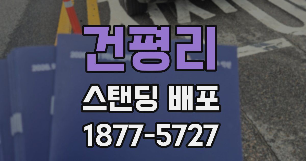 건평리 스탠딩 배포