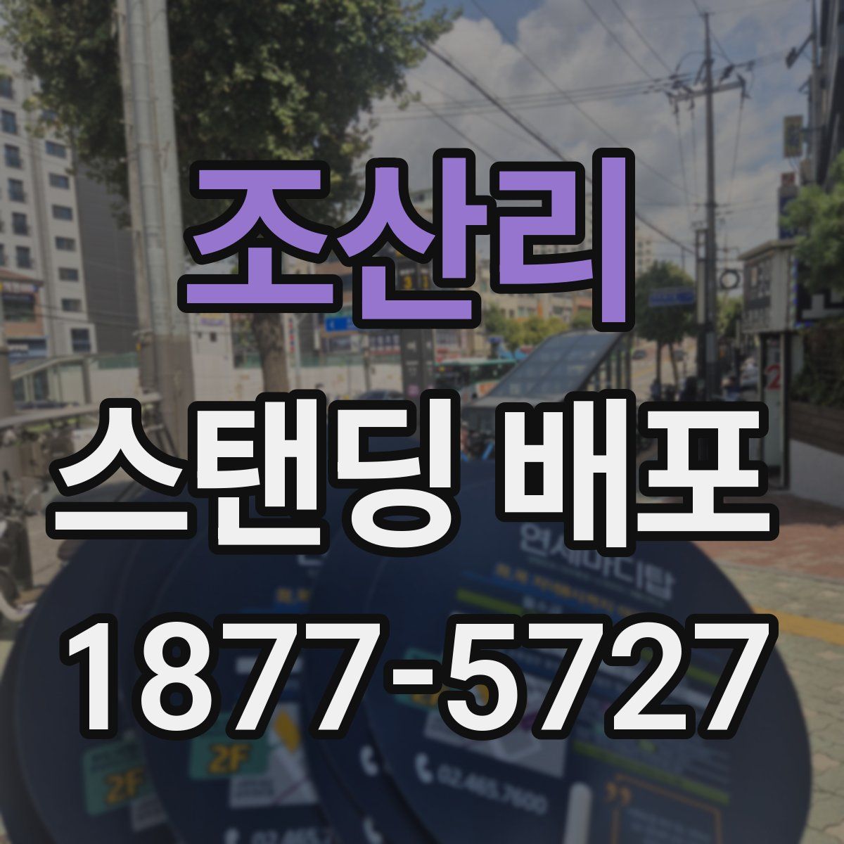 조산리 스탠딩 배포