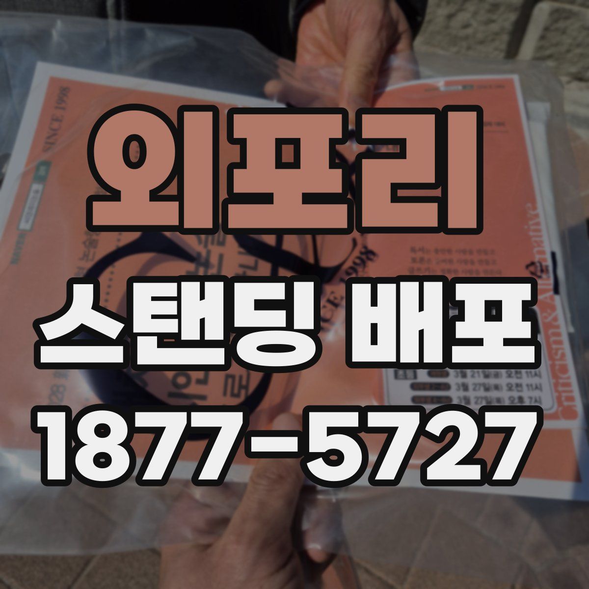 외포리 스탠딩 배포