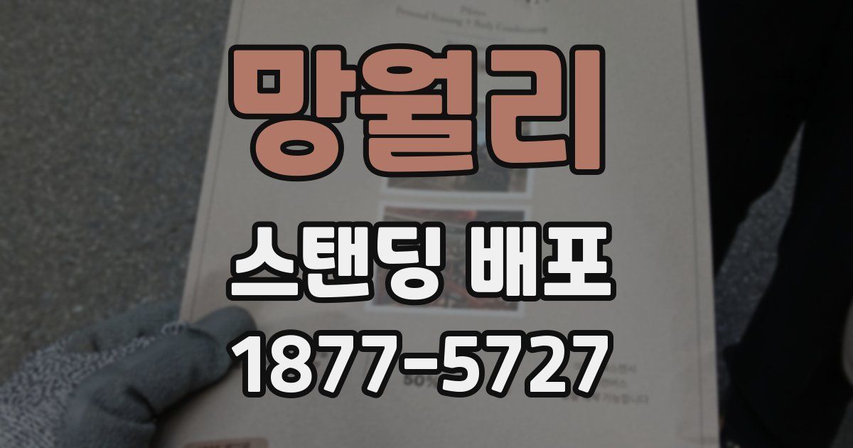 망월리 스탠딩 배포