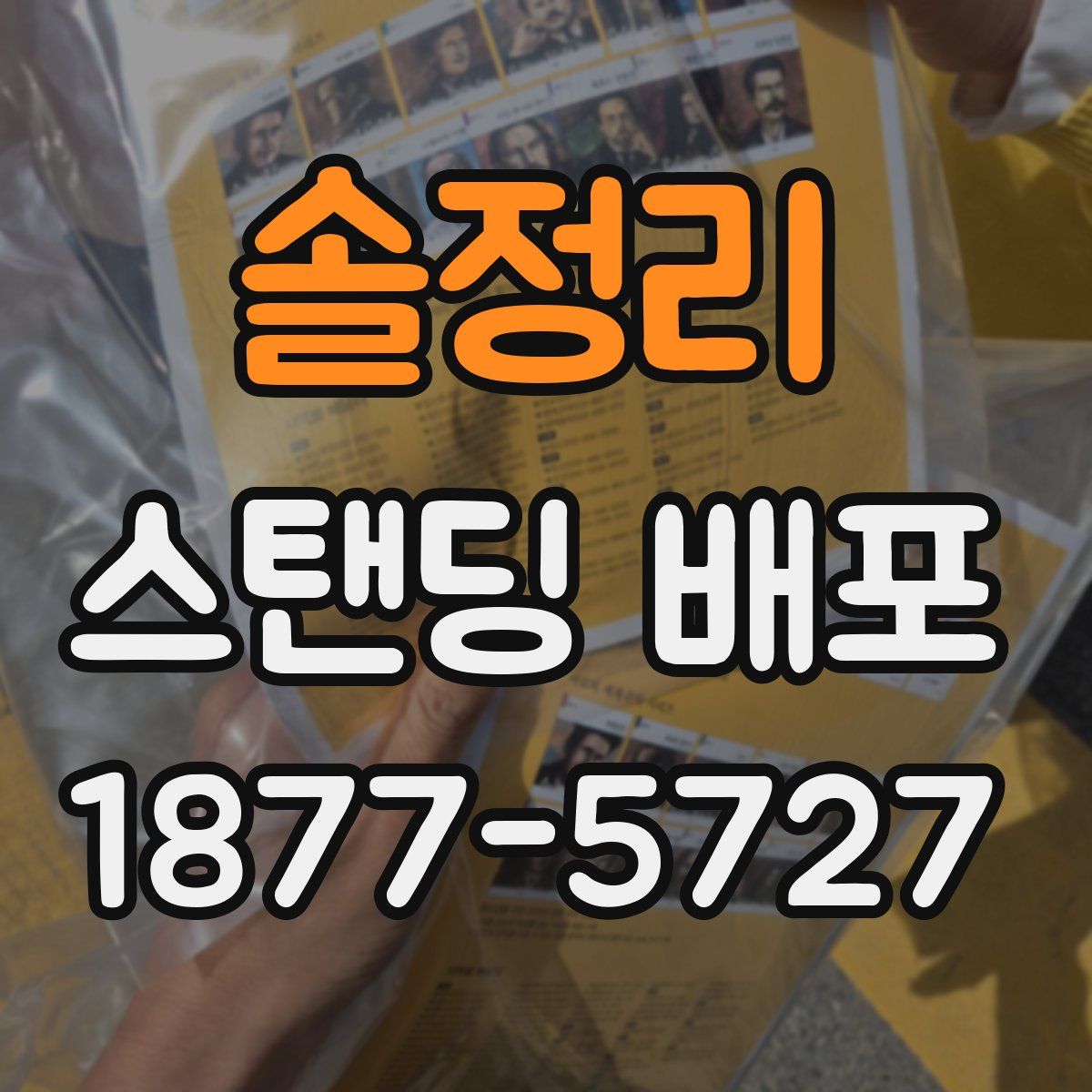 솔정리 스탠딩 배포