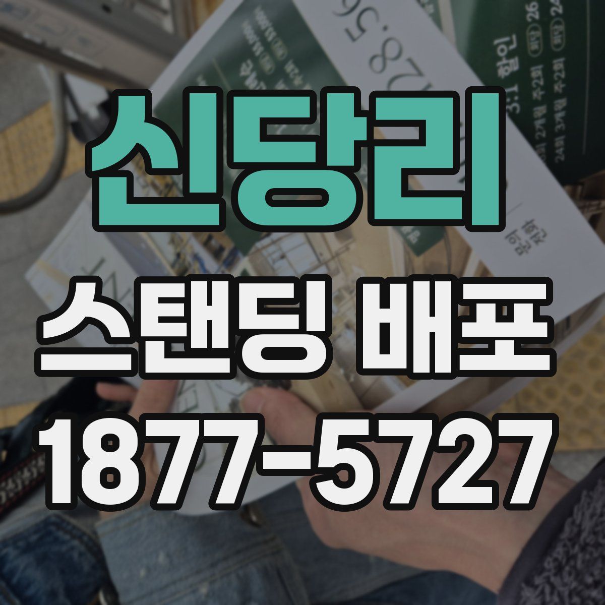 신당리 스탠딩 배포