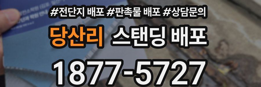 당산리 스탠딩 배포