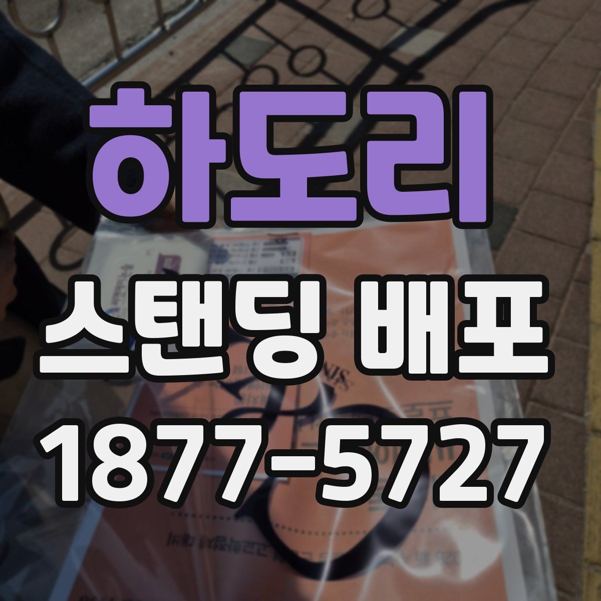하도리 스탠딩 배포