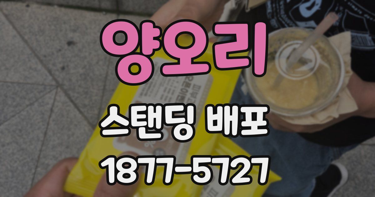 양오리 스탠딩 배포