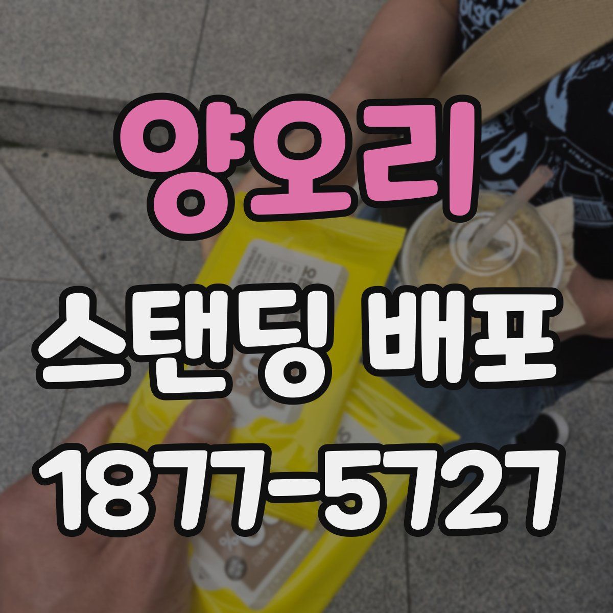 양오리 스탠딩 배포