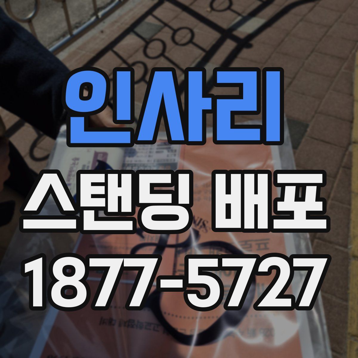 인사리 스탠딩 배포