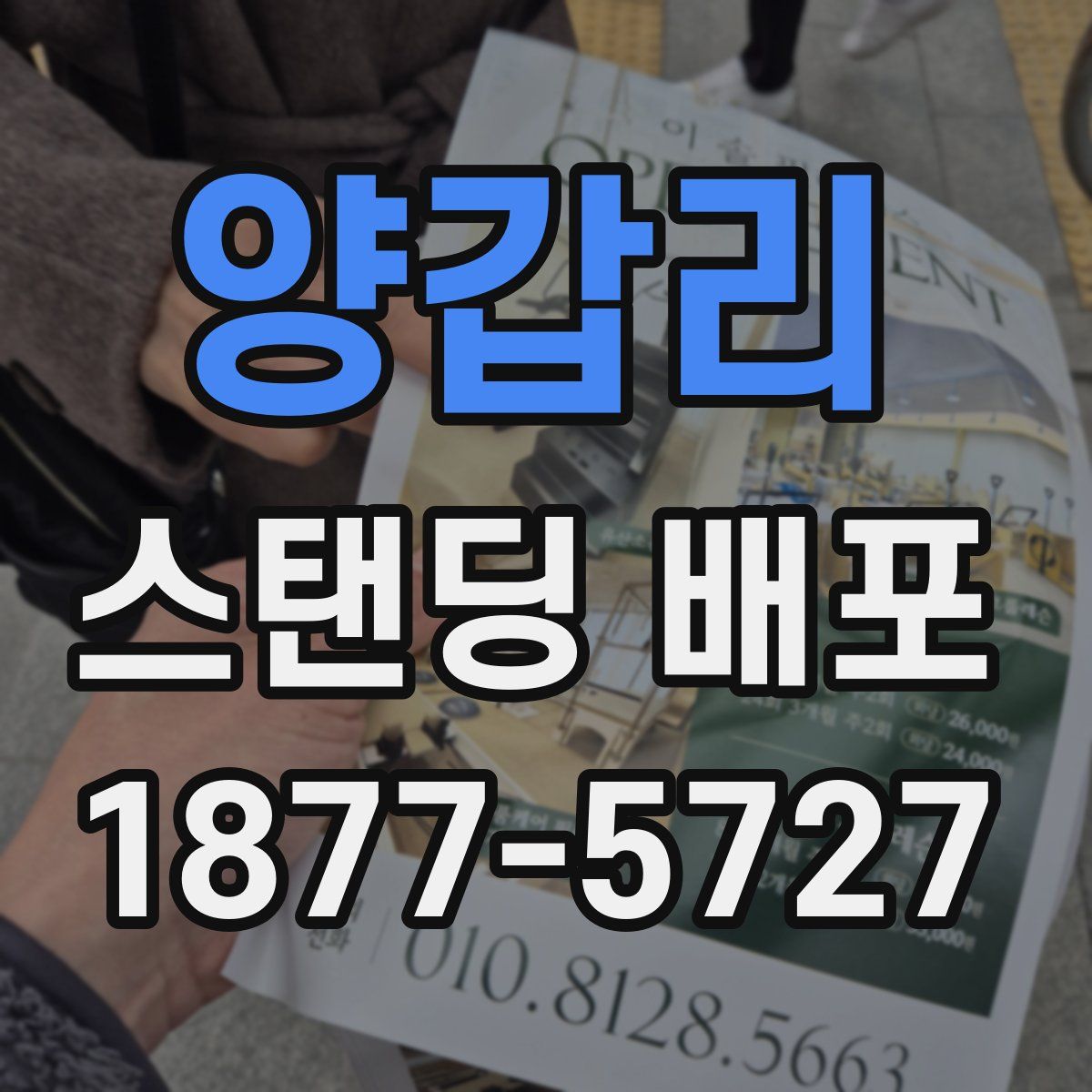 양갑리 스탠딩 배포